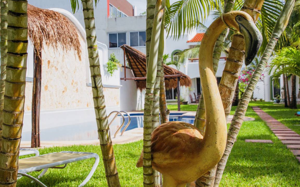 Photo of Others in Playacar