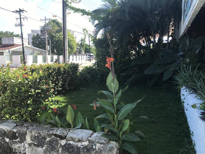 Photo of Others in Downtown Cancun