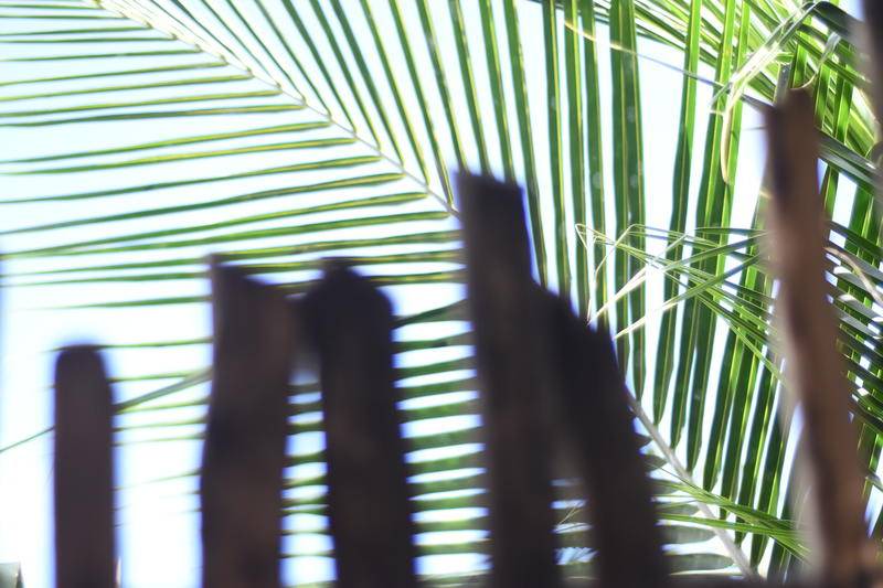 Photo of Others in Tulum City Center
