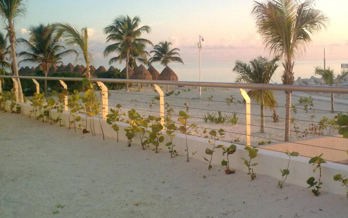 Photo of Others in Playa Mujeres