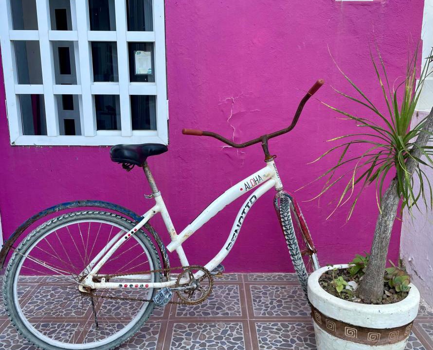 Photo of Others in Isla Holbox