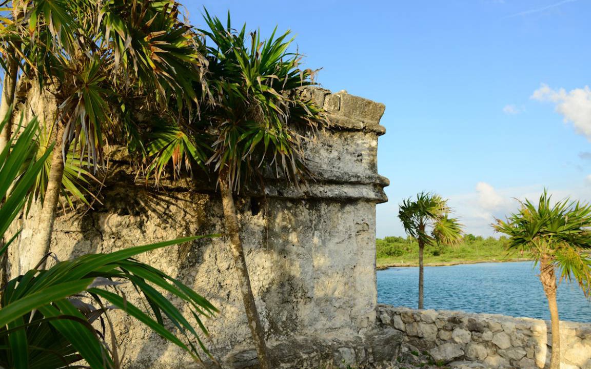 Photo of Others in Puerto Aventuras