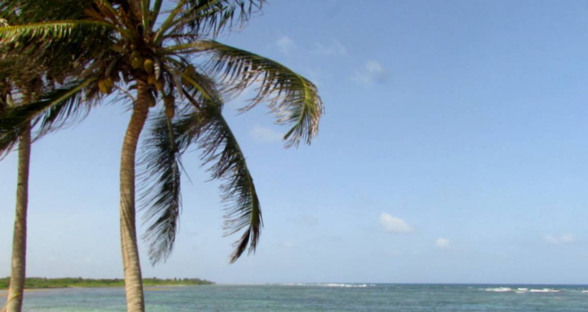 Photo of Others in Mahahual
