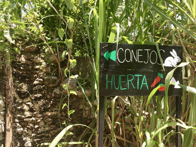 Photo of Others in Bacalar