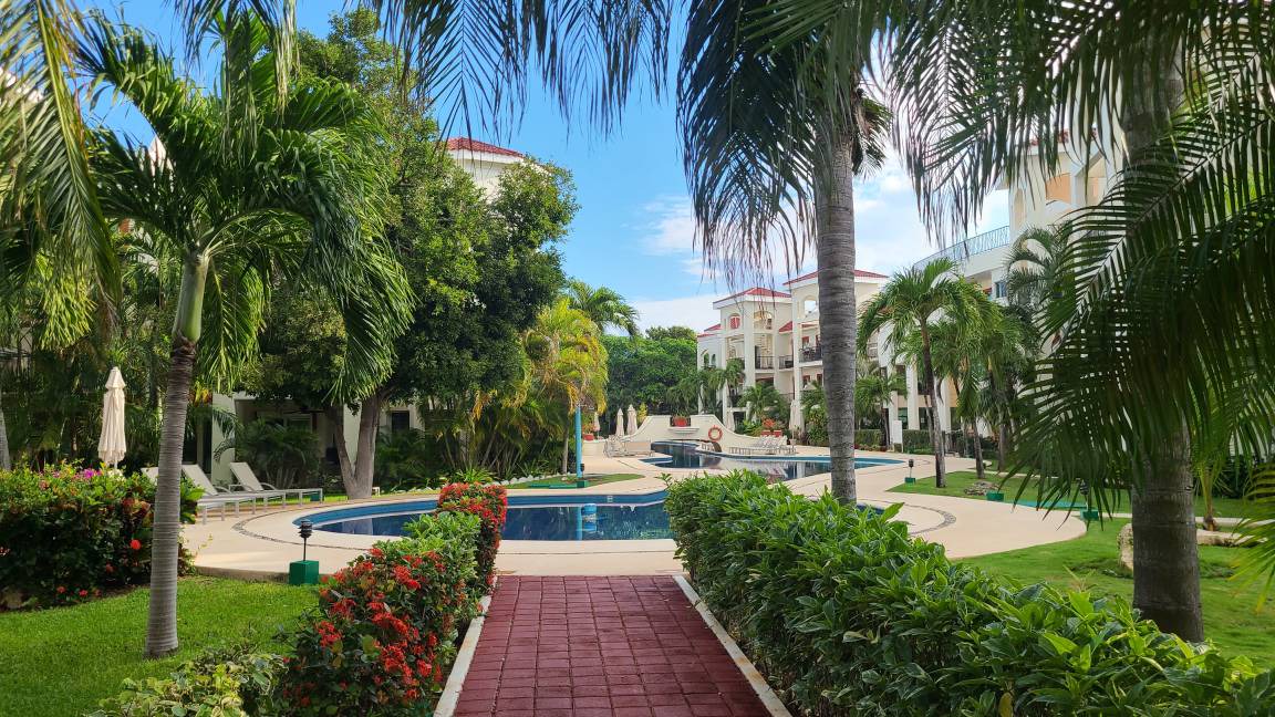 Photo of Others in Playacar