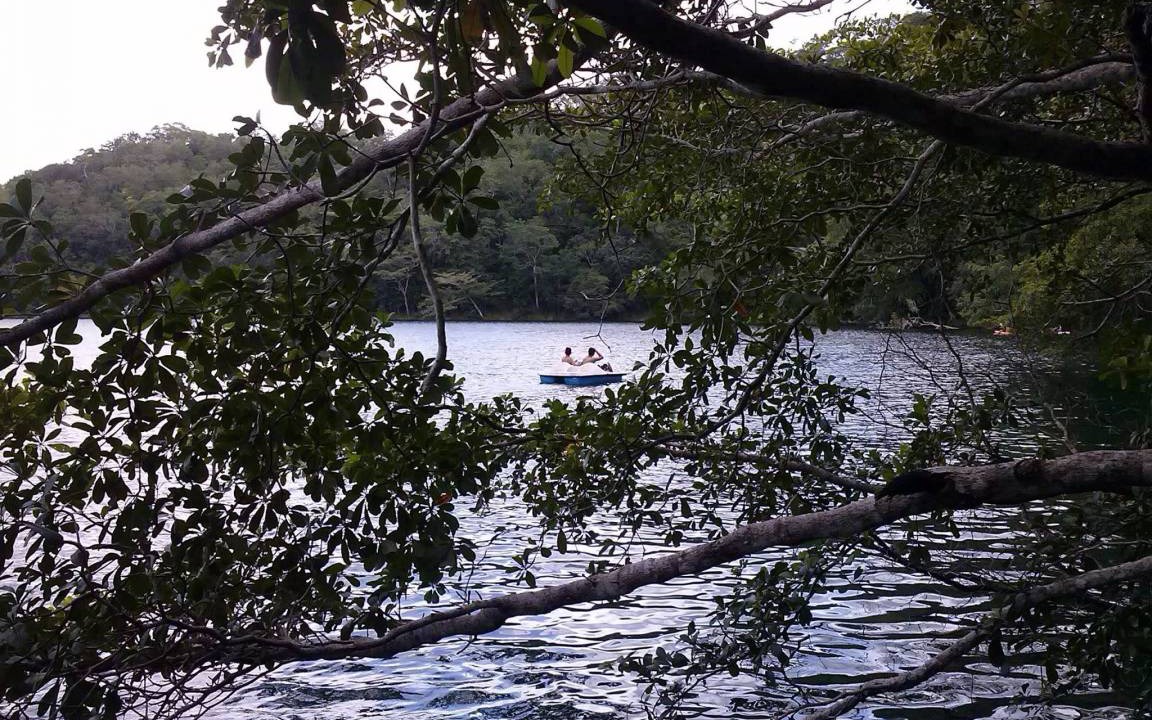 Photo of Others in Estero Franco