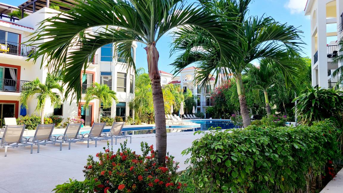 Photo of Others in Playacar