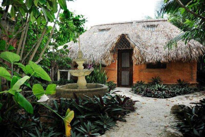 Photo of Others in Puerto Morelos