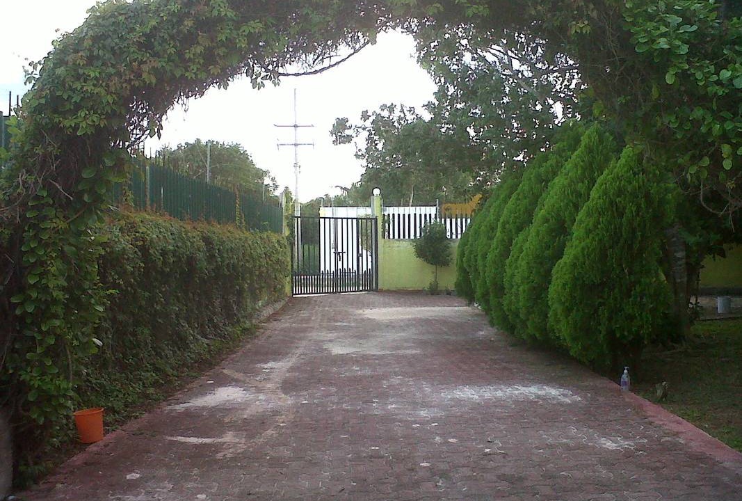Photo of Outdoor in Alfredo V. Bonfil