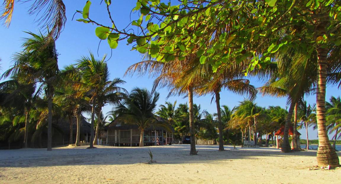 Photo of Others in Mahahual