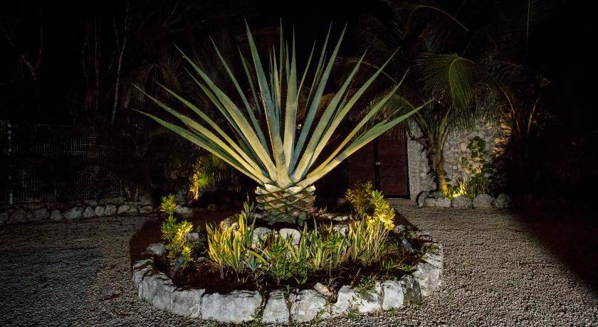Photo of Others in Tulum