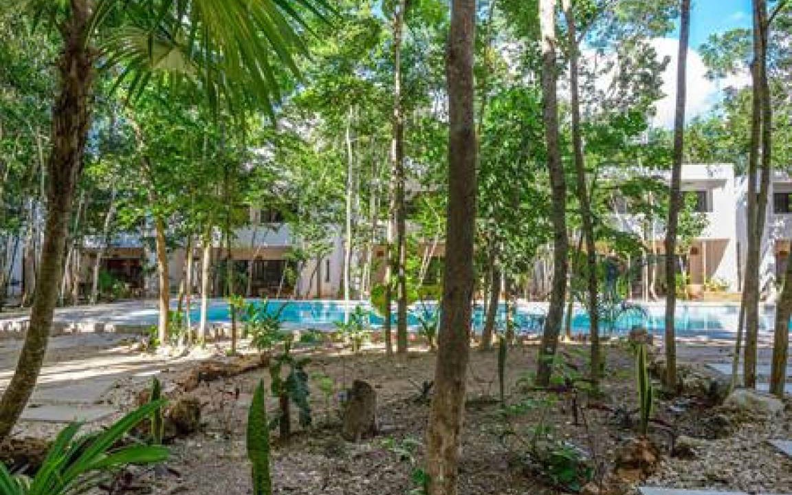 Photo of Others in Bacalar
