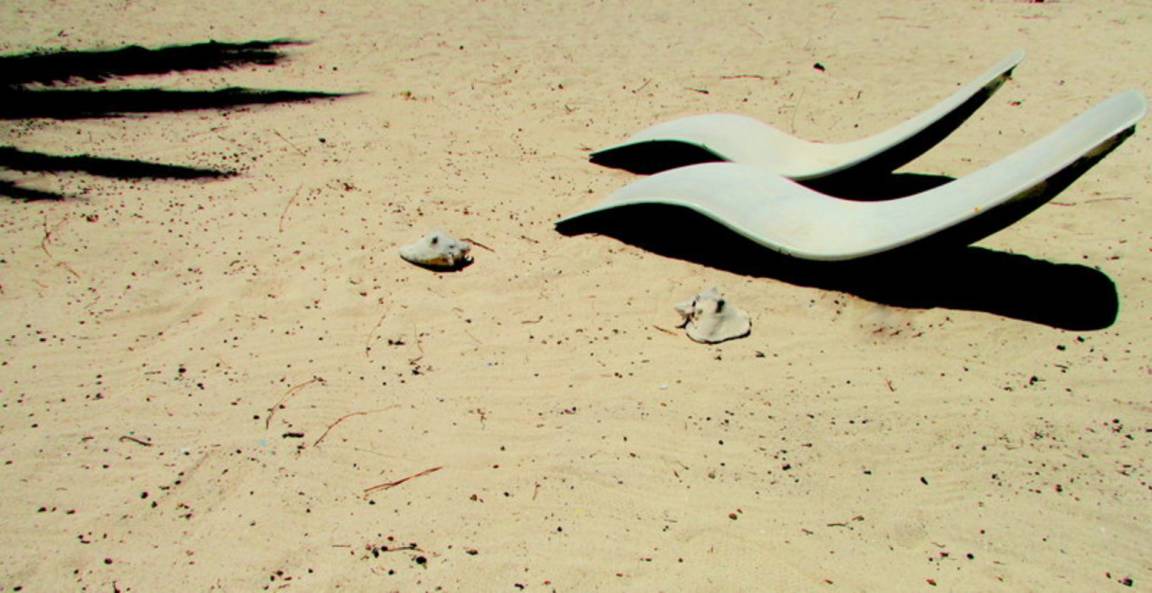 Photo of Others in Mahahual