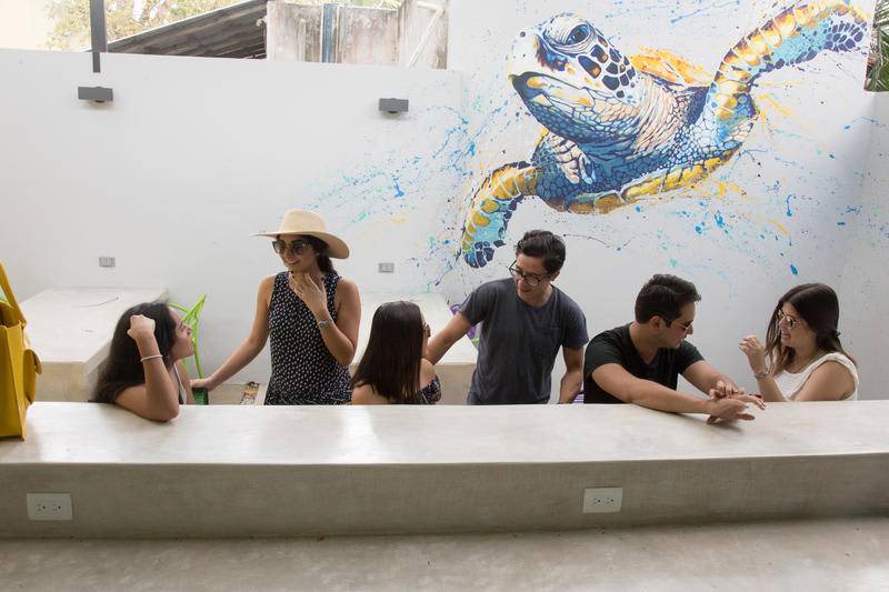 Photo of Others in Colonia Centro
