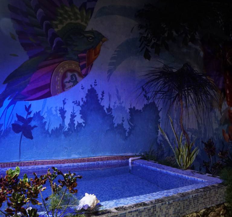 Photo of Others in El Pedregal