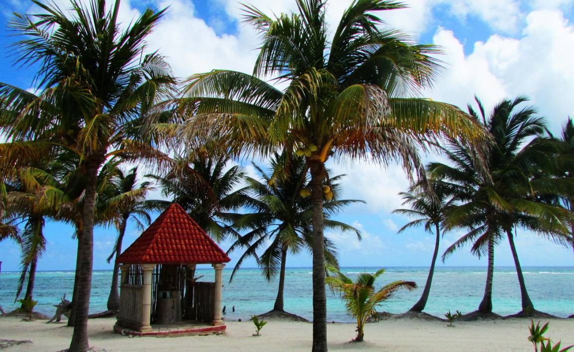Photo of Others in Mahahual
