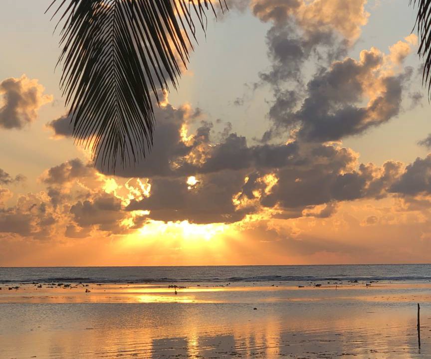 Photo of Others in Mahahual
