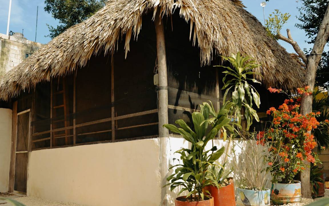 Photo of Others in Tulum City Center