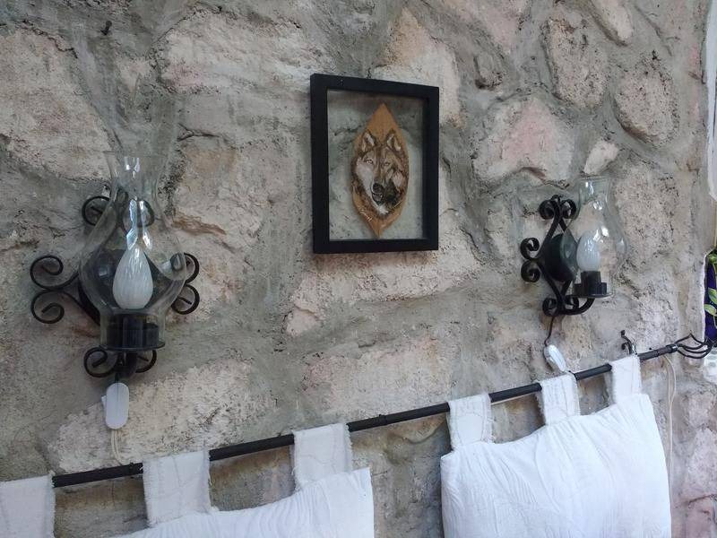 Photo of Others in Puerto Morelos