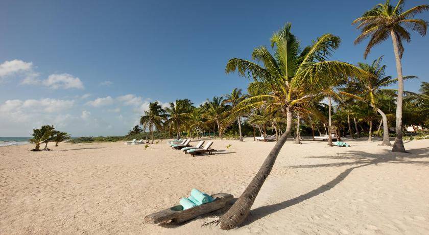 Photo of Others in Punta Allen