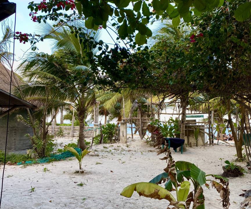 Photo of Others in Mahahual
