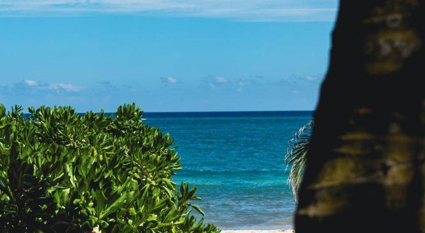 Photo of Others in Playa Paraiso