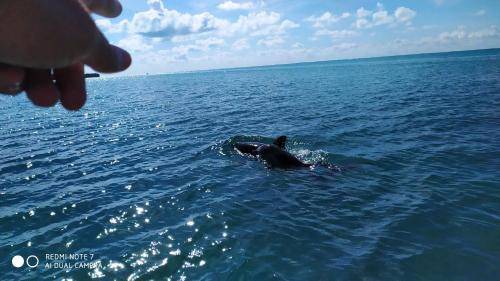 Photo of Others in Punta Allen