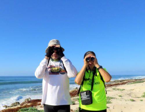 Photo of Others in Cozumel