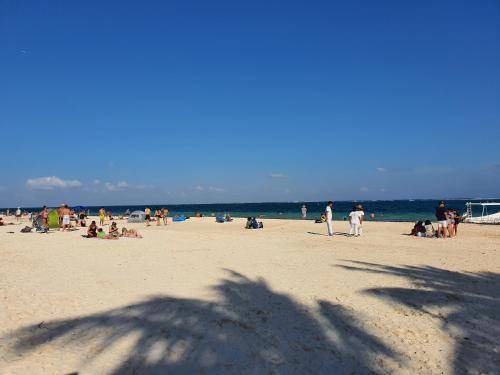 Photo of Others in Puerto Morelos