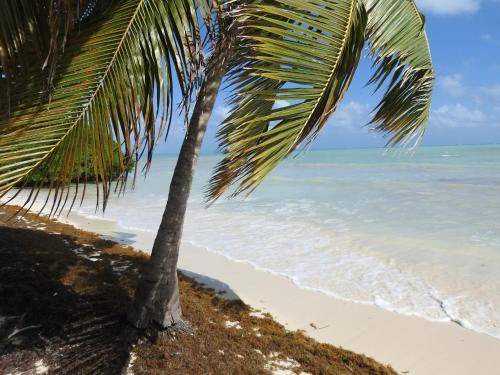 Photo of Others in Punta Allen