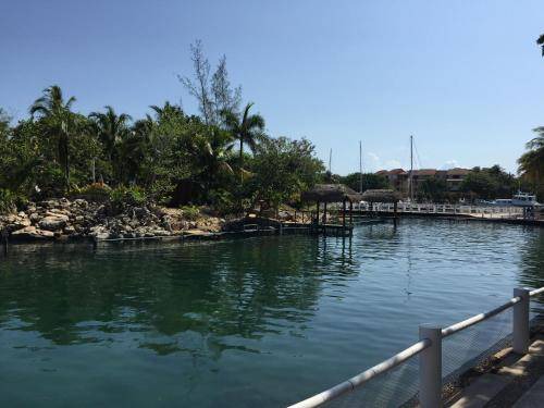 Photo of Others in Puerto Aventuras