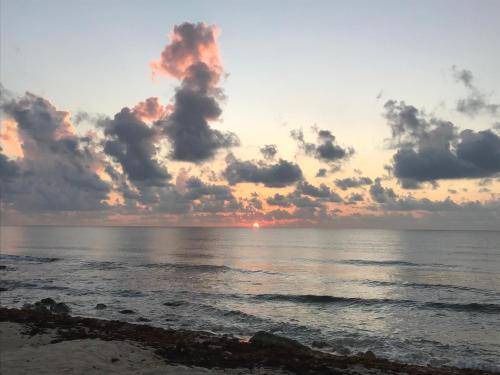 Photo of Others in Puerto Morelos