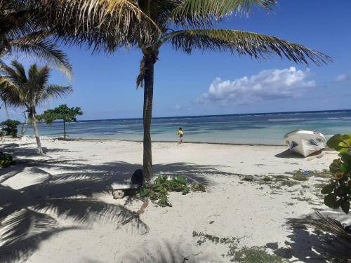 Photo of Others in Mahahual