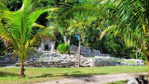 Photo of Others in Playacar Fase I