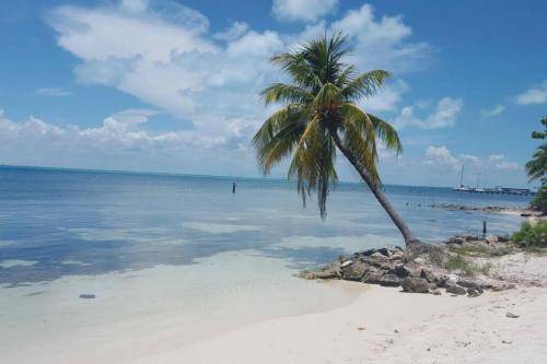 Photo of Outdoor in Isla Mujeres