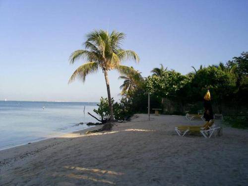 Photo of Outdoor in Isla Mujeres