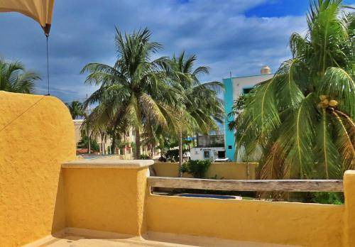 Photo of Others in Puerto Morelos