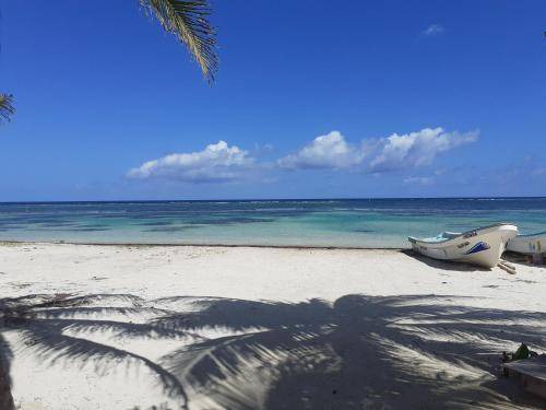Photo of Others in Mahahual