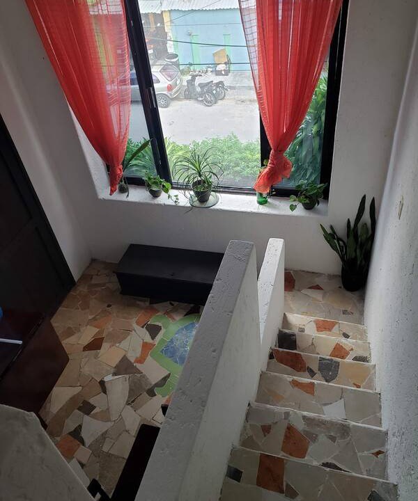 Photo of Others in Cozumel