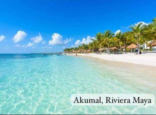 Photo of Others in Akumal