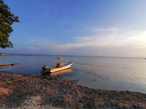 Photo of Outdoor in Isla Mujeres
