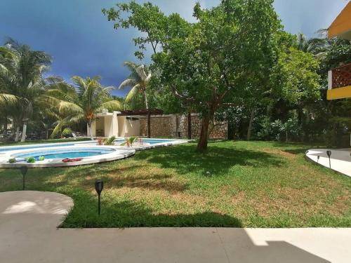 Photo of Outdoor in Isla Mujeres