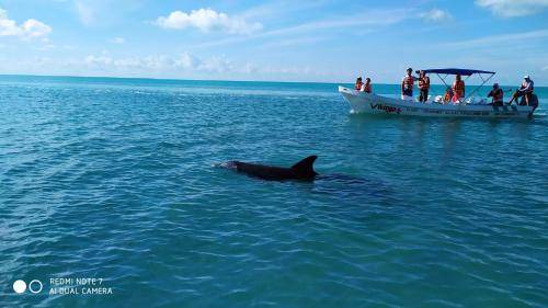 Photo of Others in Punta Allen