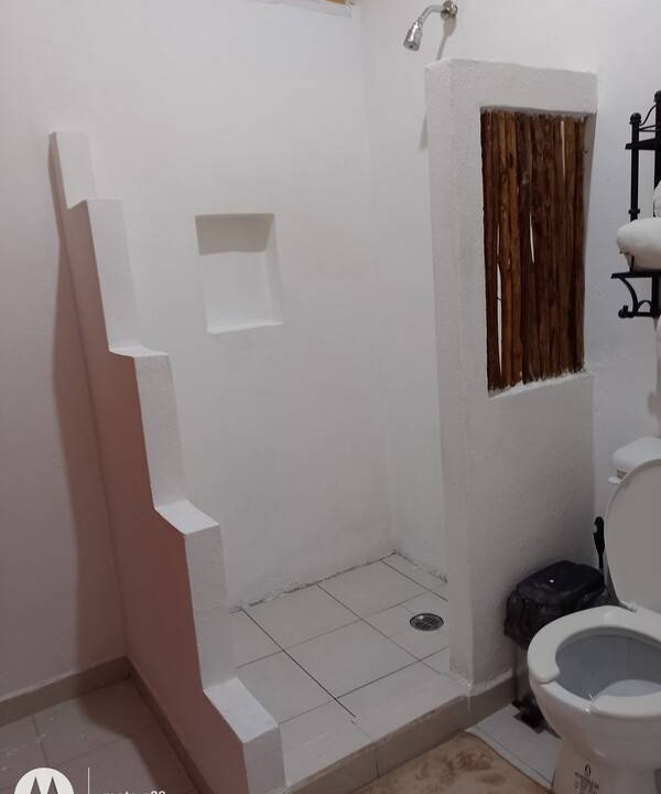Photo of Others in Cozumel