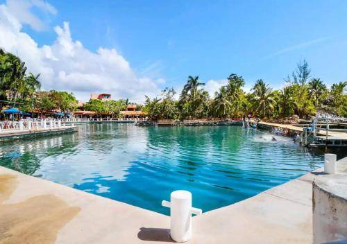 Photo of Others in Puerto Aventuras