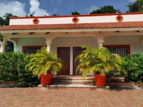 Photo of Buildings in Cozumel