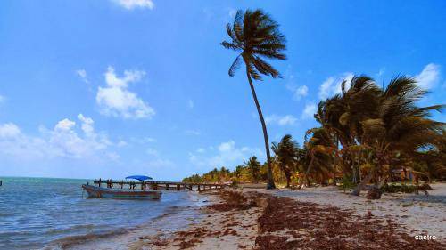 Photo of Others in Punta Allen