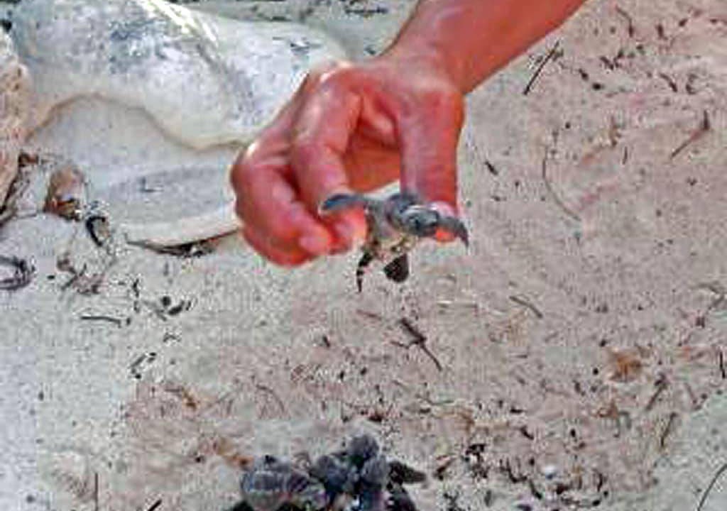 Photo of Others in Akumal