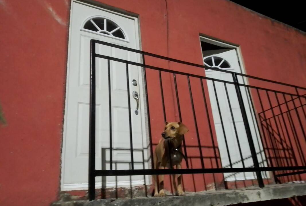 Photo of Buildings in Puerto Juarez