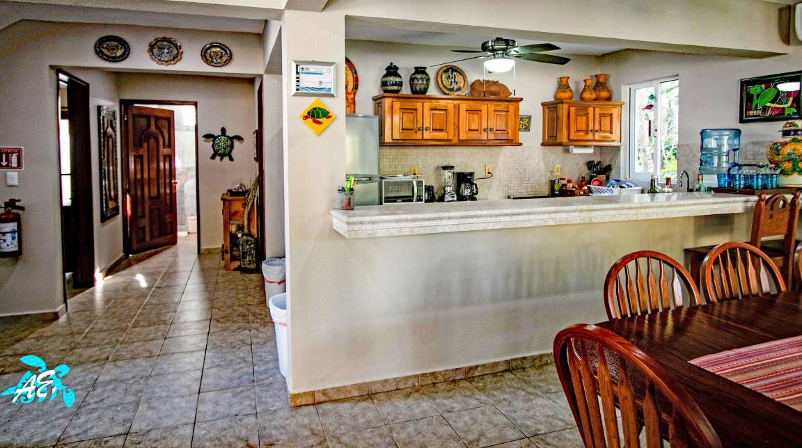 Photo of Others in Akumal